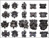  ?? SUNIL BAJPAI, DEBAJIT DATTA, POONAM VERMA VIA AP ?? This image shows some of the vertebrae of Vasuki indicus, a newly discovered extinct snake from about 47 million years ago, estimated to reach nearly 50feet long.