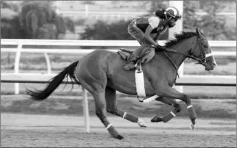  ?? MICHAEL BURNS ?? The Barbara Heads-trained Infinite Patience brings a five-race win streak into her first start of the year, the Monashee Stakes. She is expected to be a heavy favorite.