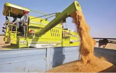  ?? Reuters ?? ■ Wheat prices in India have risen to record highs, in some spot markets hitting 25,000 rupees ($320) per tonne.