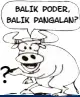  ??  ?? BALIK PODER, BALIK PANGALAN?