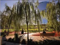  ?? / FILE ?? This Dec. 4, 2018, photo shows Tree Library park in Milan, Italy. A new study says that the most effective way to fight global warming is to plant a trillion trees.