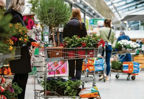  ?? Foto: Sven Hoppe, dpa ?? Schlange stehen an der Kasse: Bau- und Gartenmärk­te sind trotz der teilweisen Schließung gut durch die Krise gekommen.