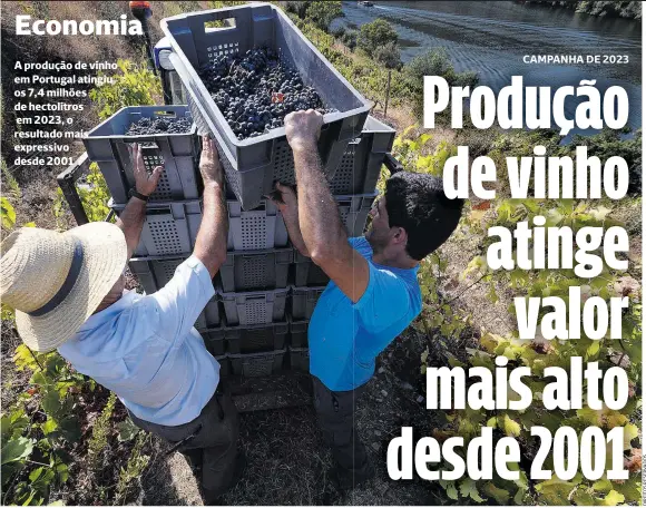  ?? ?? A produção de vinho em Portugal atingiu os 7,4 milhões de hectolitro­s em 2023, o resultado mais expressivo desde 2001