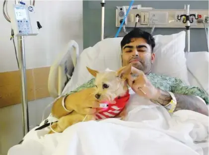  ?? STAFF PHOTOS BY TIM BARBER ?? Javier Huerta enjoys the company of Peter, 12, a pet therapy dog, in his room at Erlanger hospital. “Javier told me he misses his pomeranian from home,” said Blaine Kelley, an Erlanger Health System public relations specialist.