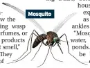  ?? ?? Mosquito