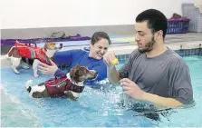  ??  ?? Jack Russell terriers Bella, left, and Mario swim with coaches Jessica Simon and Andrew Sanya. Some 900 dog clients come in for fun and exercise.