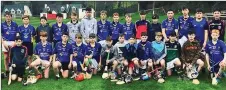  ??  ?? The Wicklow Schools hurling team.