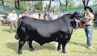  ??  ?? EL MEJOR. El toro de El Puesto de Irazábal que emocionó “por el que no está y por el que llegó...”.