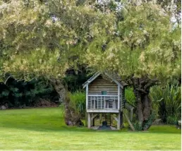  ??  ?? A wooden henhouse is shaded by an old tamarisk tree, heavy with flowers.