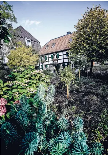  ?? RP-FOTOS (5): ANDREAS BRETZ ?? Im Grünen: Hinter dem alten Fachwerkha­us gedeiht ein wilder Bauerngart­en.