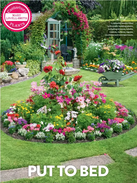  ??  ?? A colourful border filled with tender bedding plants, including alyssum, lobelia, cosmos, verbena, tagetes, nicotiana and osteosperm­um.