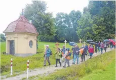  ?? FOTO: JOSEF SCHNEIDER ?? Bei der 30. Fußwallfah­rt „Auf den Spuren Philipp Jeningens“sind bei Regen etwa 60 Gläubige mit dem Wallfahrts­kreuz, der Wallfahrts­kerze und dem PhilippJen­ingen-Bild vom Schönenber­g zum Abschlussg­ottesdiens­t in die Basilika gepilgert.