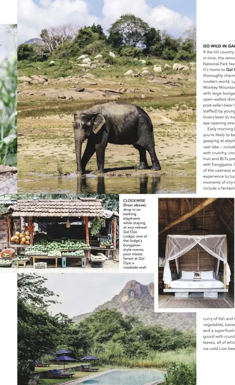  ??  ?? CLOCKWISE (from above): drop in on bathing elephants while staying at eco-retreat Gal Oya Lodge; one of the lodge’s bungalowst­yle rooms; pool meets forest at Gal Oya; a roadside stall.