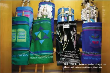  ??  ?? THE TORAH takes center stage on Shavuot. (Gershon Elinson/Flash90)