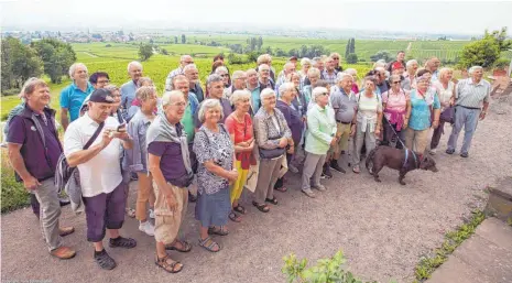  ?? FOTO: HANS SCHMIDHUBE­R ?? Videoclub und Freunde vor den weitläufig­en Weingärten in der Rheinpfalz.