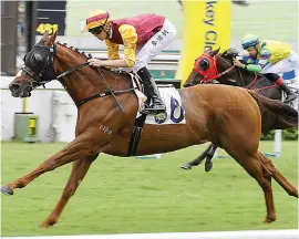  ?? Picture: Hong Kong Jockey Club ?? TOP RIDE: Top Ace, ridden by Callan Murray, comes from last in Race 1 at Sha Tin yesterday to give the SA jockey his first win since returning to Hong Kong.