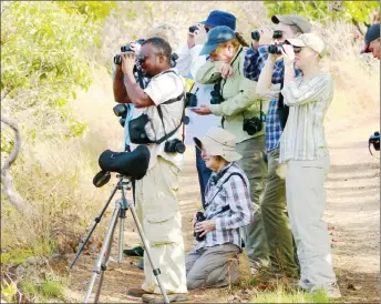  ??  ?? Birding in the interior