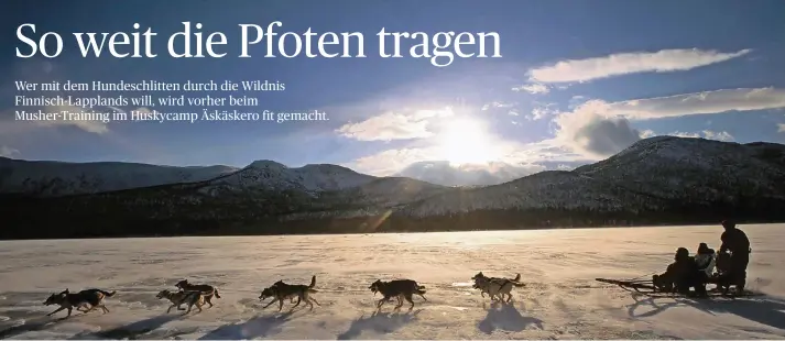  ?? FOTOS: MANFRED LÄDTKE ?? Husky-Trail durch die Einsamkeit des nordischen Winters. Ausdauer und harte Beinarbeit sind Voraussetz­ung für einen Stehplatz auf dem Hundeschli­tten.