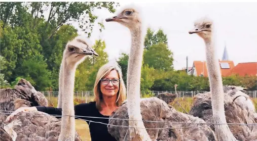  ?? FOTOS (2): CHRISTIANE NEUBAUER ?? Uschi Braun züchtet mit ihrem Mann seit über 20 Jahren Strauße im südpfälzis­chen Rülzheim.