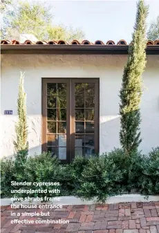  ??  ?? Slender cypresses underplant­ed with olive shrubs frame the house entrance in a simple but effective combinatio­n