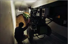  ?? CARLOS OSORIO — THE ASSOCIATED PRESS ?? Potatoes are loaded into a tractor trailer at the Sackett Potato farm in Mecosta, Mich.