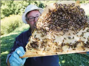  ?? MIKE DE SISTI/MILWAUKEE JOURNAL SENTINEL ?? Charlie Koenen holds a Beepod top bar with a honeycomb covered in bees Sept. 23, 2014 in the garden at the Sisters of St. Francis of Assisi convent in St. Francis, Wis.