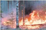  ?? ?? A forest fire in Russia last summer