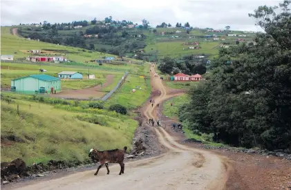  ?? ?? A gravel road leading to the Emazabekwe­ni area in Ixopo in southern KwaZulu-Natal, where Chief Justice Raymond Zondo grew up.