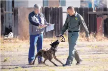  ??  ?? Fresno County Sheriff’s Deputy Jerry Kitchens, right, works with his K-9 Mikey as trainer Rick Johnson watches. Mikey lives with Kitchens and his family, who describes him as “a very social, loving dog.”