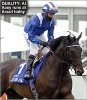  ?? ?? QUALITY: Al Aasy runs at Ascot today