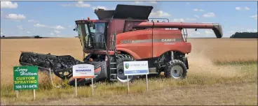  ??  ?? A combine removes a canola crop from the land of Wendell Patzer for the Harvest for Hope crop fundraiser, Aug. 31.