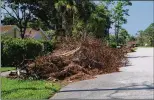  ?? KRISTINA WEBB / THE PALM BEACH POST ?? A pile of vegetation left behind by Hurricane Irma sits on Arcadia Drive in Wellington on Monday, near the entrance to the Avondale Woods neighborho­od.