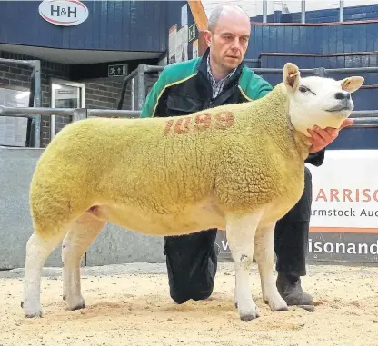  ??  ?? The 9,000gn in-lamb pedigree Texel female from Graham Morrison’s Deveronval­e flock.