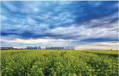  ?? ANDY HU/GETTY FILES ?? China has halted canola imports from Winnipeg-based Richardson amid rising tensions between Beijing and Canada.