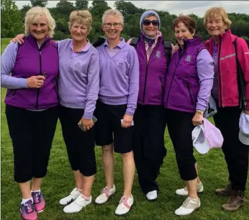  ??  ?? Members of the Wexford ladies’ Senior Cup team and supporters after their quarter-final win in New Forest Golf Club, Tyrrellspa­ss.