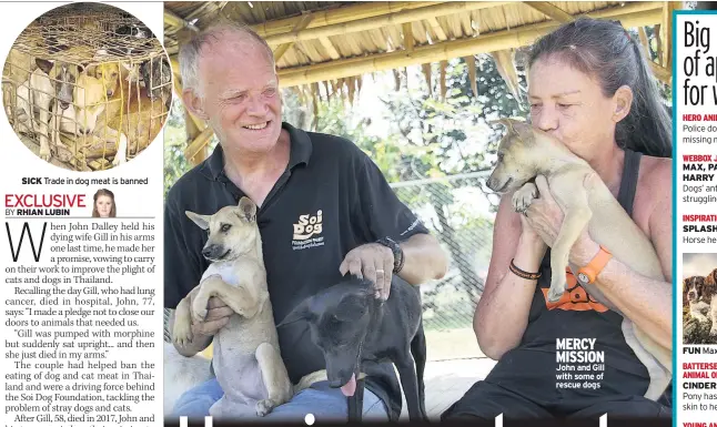  ??  ?? MERCY MISSION John and Gill with some of rescue dogs