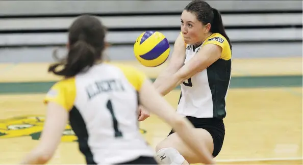  ?? IAN KUCERAK ?? The University of Alberta Pandas’ Julia Zonneveld sets the ball during a Canada West best-of-three quarterfin­al game against the Trinity Western University Spartans in Edmonton on Friday. The Pandas won in straight sets to end a decade-long playoff...