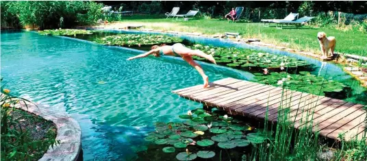  ?? ?? Domestic idyll: Natural outdoor ponds allow wealthy homeowners to enjoy the pleasures of wild swimming in private