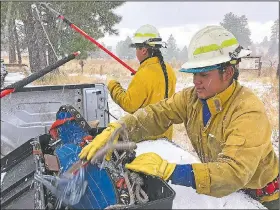  ?? AP/SUSAN MONTOYA BRYAN ?? Nick Naranjo (right) and Derrick Tenorio with the Santa Clara Pueblo, N.M., forestry department prepare to collect ponderosa pine cones Thursday at Bandelier National Monument.