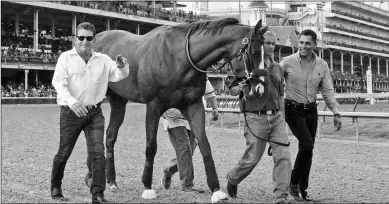  ?? BARBARA D. LIVINGSTON ?? Justify was paraded at Churchill Downs Saturday evening before returning Sunday to his home base at Santa Anita.