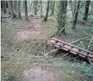  ??  ?? Dangerous obstacles on the Caerphilly Mountain bike trail