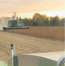  ??  ?? Mathieu Pigeon remarque beaucoup de variation dans les rendements de soya en Montérégie. Le producteur de la région de Saint-Hyacinthe a obtenu une moyenne de 3,7 t/ha, légèrement sous sa normale des dernières années.