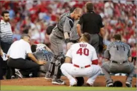  ?? JEFF ROBERSON — THE ASSOCIATED PRESS ?? Arizona catcher Chris Herrmann pats St. Louis’ Luke Voit (40) on the shoulder as Paul Goldschmid­t (44) crouches after Voit hit Diamondbac­ks starting pitcher Robbie Ray on the head with a line drive back to the mound during the second inning Friday in...