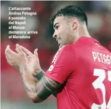  ?? ?? L’attaccante Andrea Petagna è passato dal Napoli al Monza: domenica arriva al Maradona