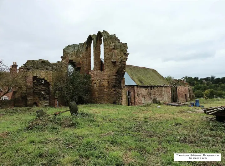  ?? ?? The ruins of Halesowen Abbey are now the site of a farm