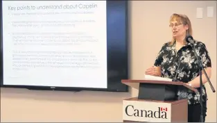  ?? GLEN WHIFFEN/THE TELEGRAM ?? DFO fisheries biologist Fran Mowbray provides an update on the state of caplin stocks to members of the media in St. John’s Monday.