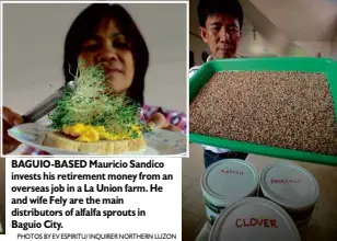  ?? PHOTOS BY EV ESPIRITU/ INQUIRER NORTHERN LUZON ?? BAGUIO-BASED Mauricio Sandico invests his retirement money from an overseas job in a La Union farm. He and wife Fely are the main distributo­rs of alfalfa sprouts in Baguio City.