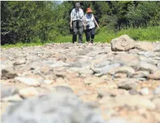  ?? FOTO: DPA ?? Ein Paar läuft durch das ausgetrock­nete Flussbett der Donau bei Immendinge­n.