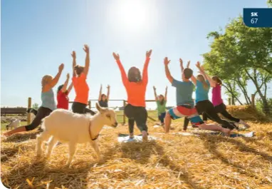  ??  ?? DOWNWARD GOAT YOGA AT GROTTO GARDENS, MAPLE CREEK • TOURISM SK/CHRIS HENDRICKSO­N