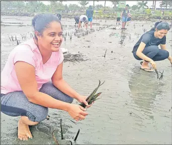  ?? Picture: RAMA ?? Steering Fiji Women Seafarer’s Associatio­n executive member Sheryne Kanawale (left) with family and friends during the mangrove planting near the My Suva Picnic Park foreshore yesterday.